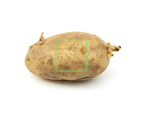 09-potato-2013