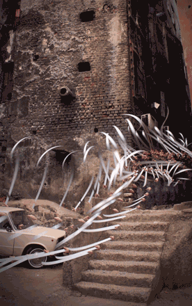 11-the-rib-and-serce-istanbul-2013