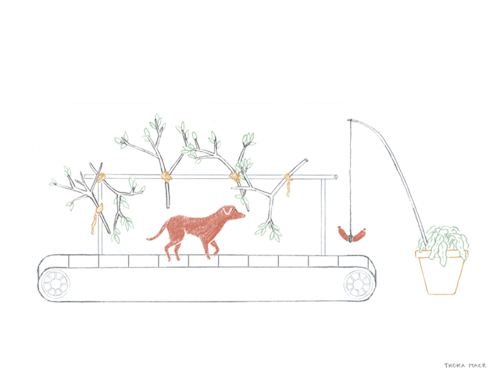 tumblr_o3t2ibm1yq1qie9jco1_500